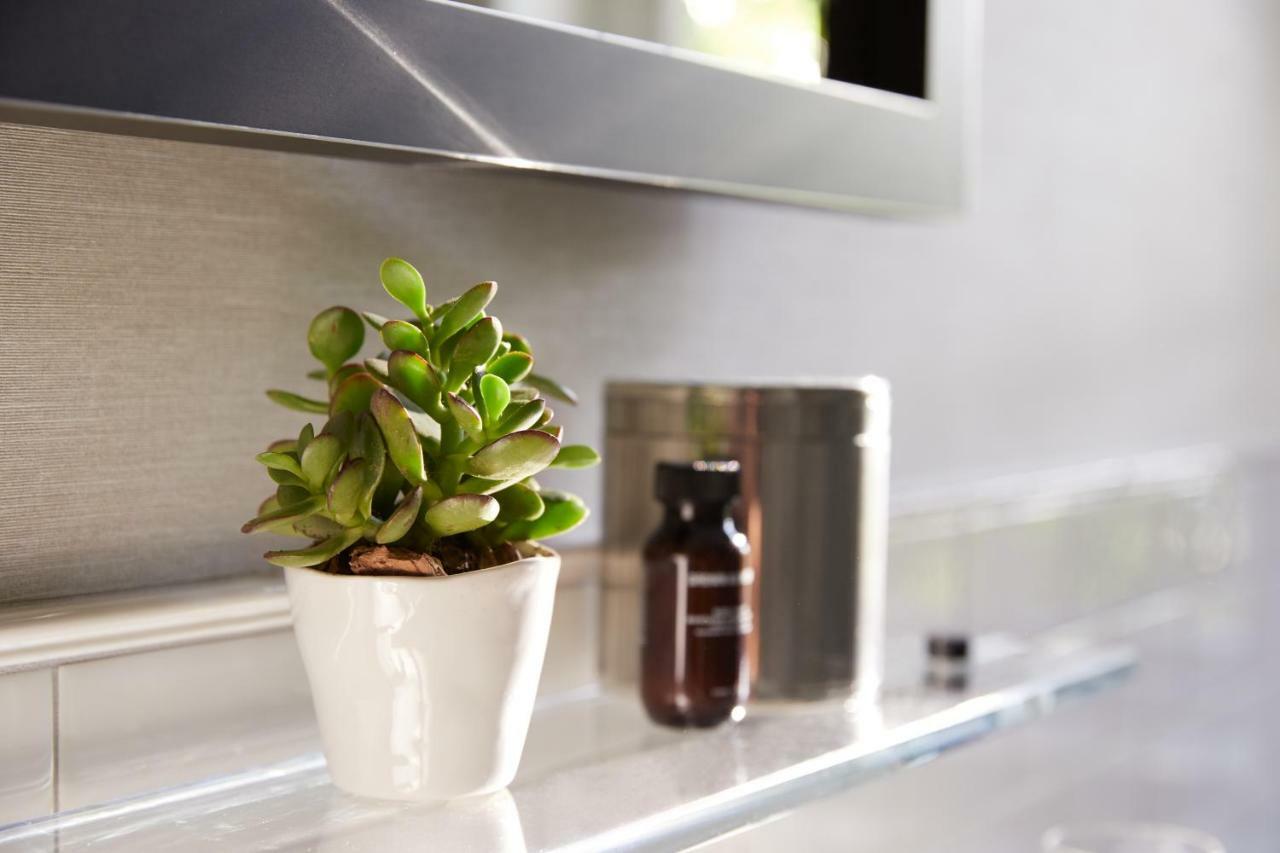เดอะวิตนีย์ โฮเทล บอสตัน Hotel ภายนอก รูปภาพ A small plant in a kitchen